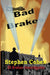 Bad Brakes: DI Brakes Investigates by Stephen Cohen