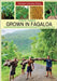 Grown in Fagaloa by Kava, Vaoese L.