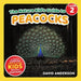 The Nature Kid's Guide to Peacocks: A Level 2 Reader for Curious Young Kids Who Love Peacocks! by David Anderson