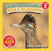 The Nature Kid's Guide to Roadrunners: A Level 2 Reader for Curious Young Kids Who Love Roadrunners! by David Anderson
