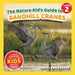 The Nature Kid's Guide to Sandhill Cranes: A Level 2 Reader for Curious Young Kids Who Love Sandhill Cranes! by David Anderson