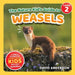 The Nature Kid's Guide to Weasels: A Level 2 Reader for Curious Young Kids Who Love Weasels! by David Anderson