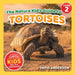 The Nature Kid's Guide to Tortoises: A Level 2 Reader for Curious Young Kids Who Love Tortoises! by David Anderson