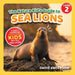 The Nature Kid's Guide to Sea Lions: A Level 2 Reader for Curious Young Kids Who Love Sea Lions! by David Anderson