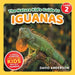 The Nature Kid's Guide to Iguanas: A Level 2 Reader for Curious Young Kids Who Love Iguanas! by David Anderson