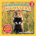 The Nature Kid's Guide to Hamsters: A Level 2 Reader for Curious Young Kids Who Love Hamsters! by David Anderson