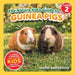 The Nature Kid's Guide to Guinea Pigs: A Level 2 Reader for Curious Young Kids Who Love Guinea Pigs! by David Anderson