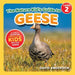 The Nature Kid's Guide to Geese: A Level 2 Reader for Curious Young Kids Who Love Geese! by David Anderson