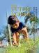 The Future School: A Blueprint for Global Educational Transformation by Dr Subhash Nair