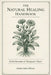 The Natural Healing Handbook: Time-Tested Remedies, Daily Protocols, And Holistic Healing Essentials by Golden Folio Editions