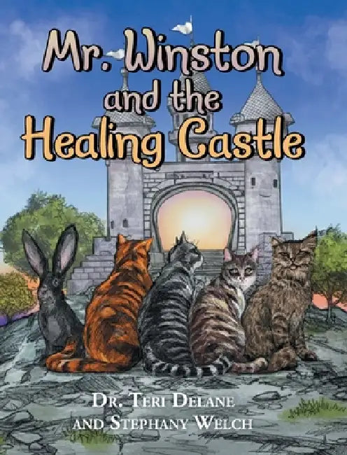 Mr. Winston and the Healing Castle by Teri Delane, Stephany Welch