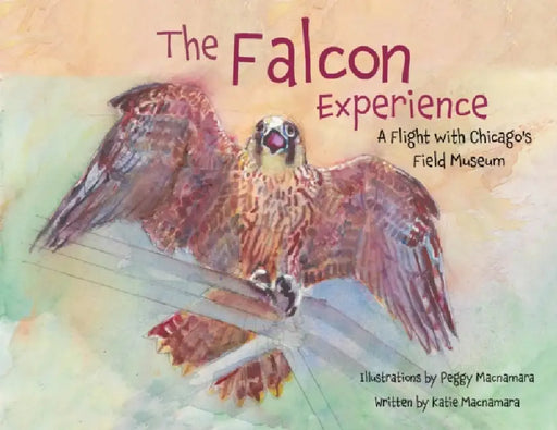 The Falcon Experience: A Flight with Chicago's Field Museum by Katie MacNamara, Peggy MacNamara, Mary Hennen