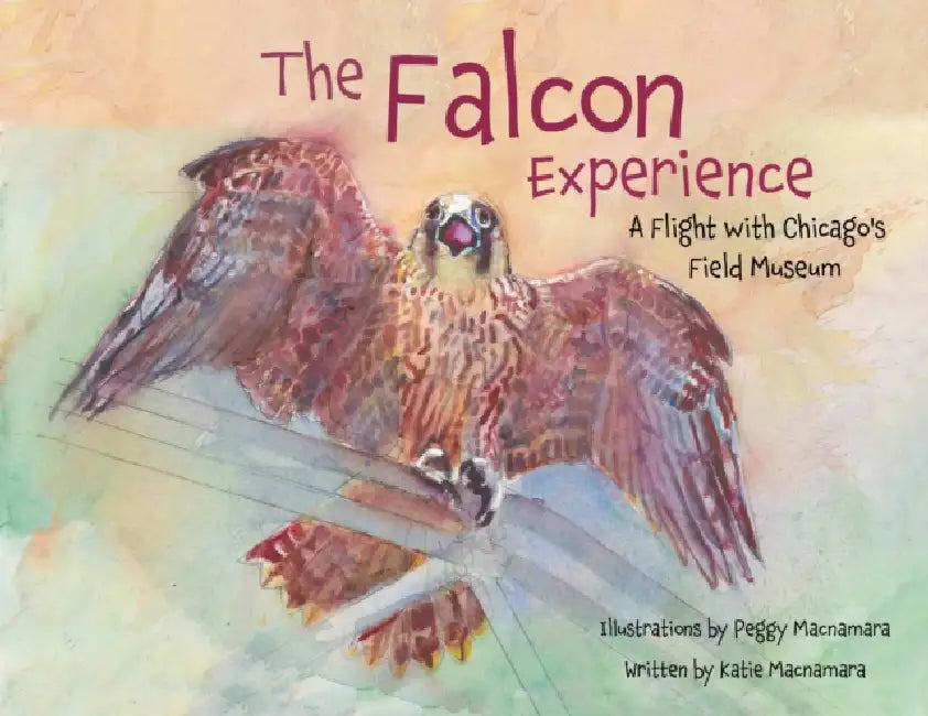 The Falcon Experience: A Flight with Chicago's Field Museum by Katie MacNamara, Peggy MacNamara, Mary Hennen