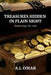 Treasures hidden in plain sight, Removing the Vail by A. I. Omar
