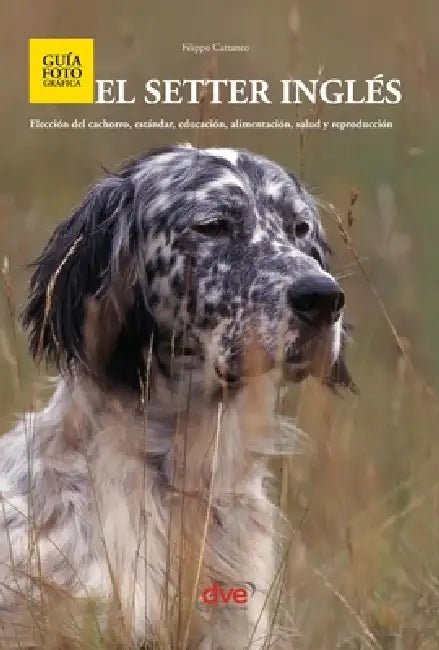 El setter inglés: Elección del cachorro, estándar, educación, alimentación, salud y reproducción by Filippo Cattaneo
