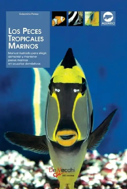 Los peces tropicales marinos: Manual ilustrado para elegir, alimentar y mantener peces marinos en acuarios domésticos by Gelsomina Parisse