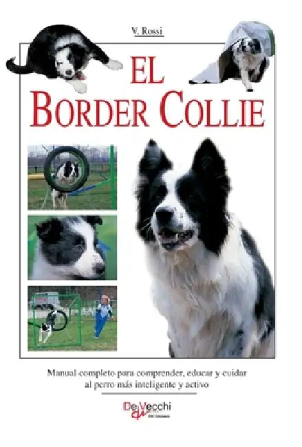 El border collie: Manual completo para comprender, educar y cuidar al perro más inteligente y activo by Valeria Rossi