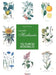 Vuestro herbario. 160 plantas medicinales: Cultivar un huerto sano con técnicas tradicionales y ecológicas paso a paso by Agosto Vecchio