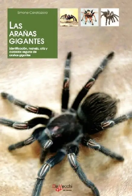 Las Arañas Gigantes: Identificación, manejo, cría y cuidados seguros de arañas gigantes by Simone Caratozzolo
