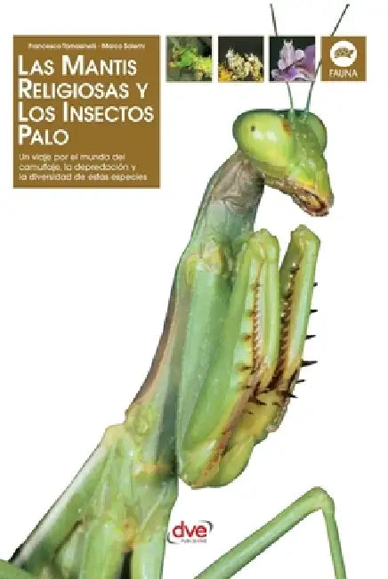 Las Mantis religiosa y los insectos palo: Un viaje por el mundo del camuflaje, la depredación y la diversidad de estas especies by Francesco Tomasinelli, Marco Salemi