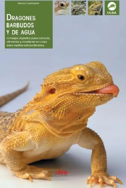 Dragones barbudos y de agua: Consejos expertos para conocer, alimentar y mantener en casa estos reptiles extraordinarios by Simone Caratozzolo