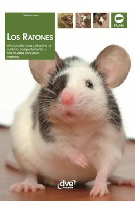 Los ratones: Introducción clara y atractiva al cuidado, comportamiento y cría de estos pequeños roedores by Olivier Laurent