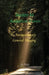 Secrets in Anderton Forest by A. Daly