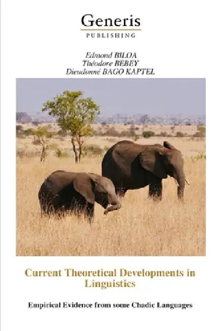 Current Theoretical Developments in Linguistics: Empirical Evidence from some Chadic Languages by Théodore Bebey, Dieudonné Bago Kaptel, Edmond Biloa