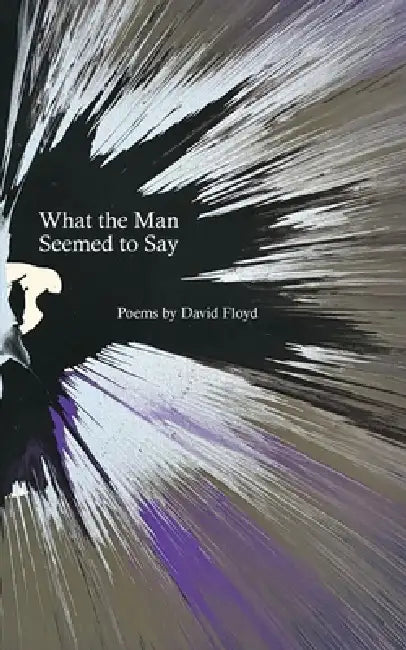 What the Man Seemed to Say by David Floyd