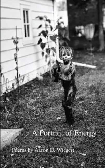 A Portrait of Energy by Aaron D. Wiegert