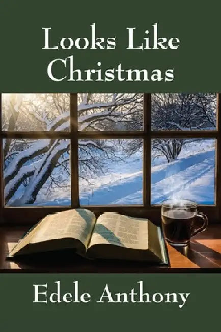 Looks Like Christmas by Edele Anthony