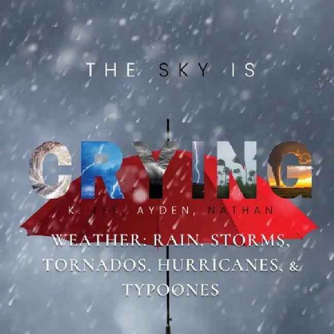 The Sky is Crying by K. Lee