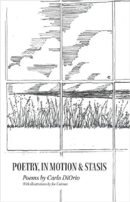 Poetry, in Motion & Stasis by Carlo Diorio