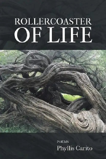 Rollercoaster of Life by Phyllis Carito