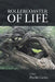 Rollercoaster of Life by Phyllis Carito