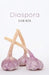 Diaspora by Sheri Reda