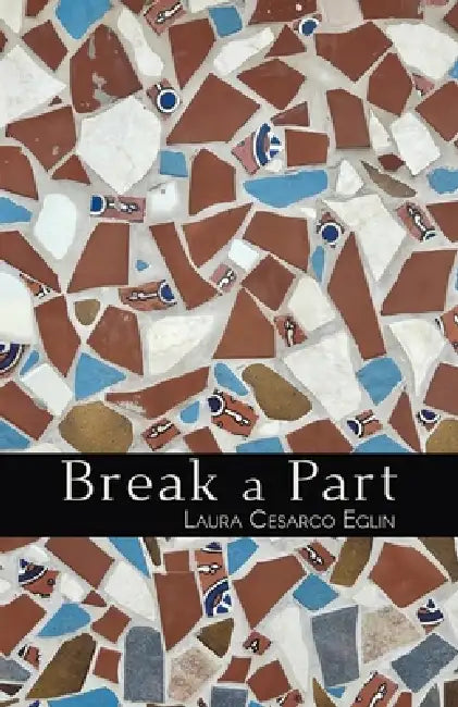 Break a Part by Laura Cesarco Eglin