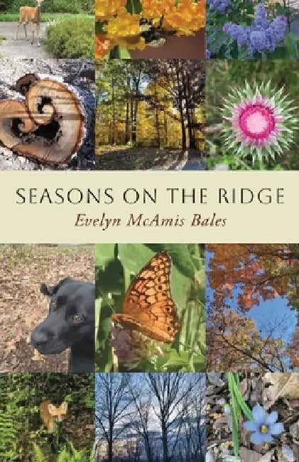 Seasons on the Ridge by Evelyn McAmis Bales