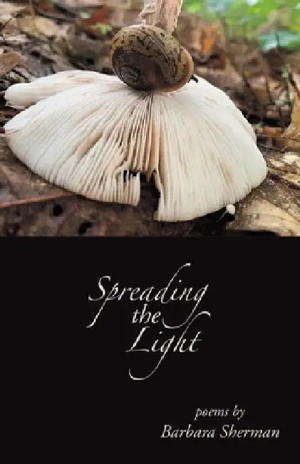 Spreading the Light by Barbara Sherman