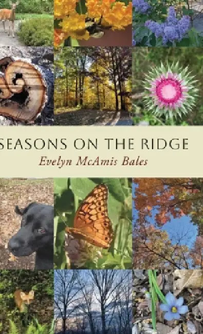 Seasons on the Ridge by Evelyn McAmis Bales