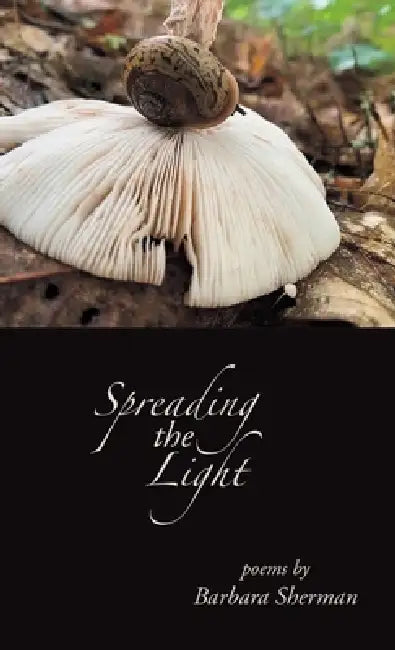 Spreading the Light by Barbara Sherman