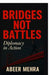 Bridges Not Battles: Diplomacy in Action by Abeer Mehra