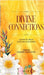 Divine Connections: A Guide to Hindu Gods and Goddesses by Barani Dakshinamoorthy