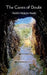 The Caves of Doubt by Daniel Chelariu-Smith