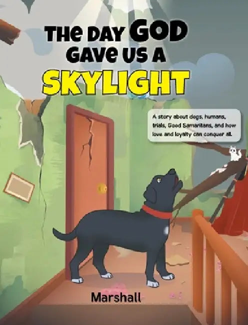 The Day God Gave Us A Skylight by Marshall