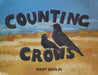 Counting Crows by Mary Berlin