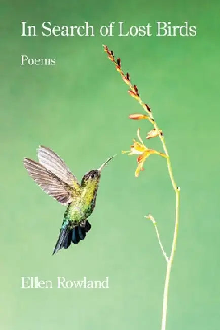 In Search of Lost Birds by Ellen Rowland