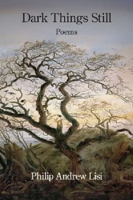 Dark Things Still by Philip Andrew Lisi