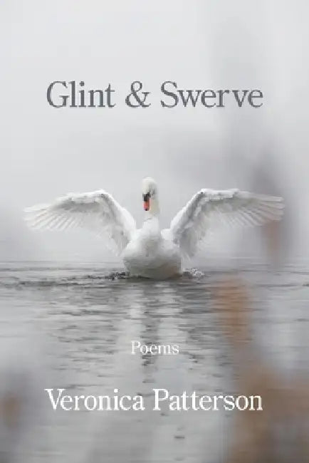 Glint & Swerve by Veronica Patterson