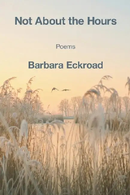 Not About the Hours by Barbara Eckroad